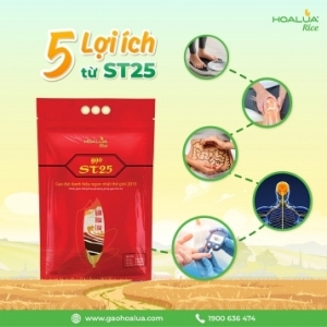 5 LỢI ÍCH KHÔNG NGỜ TỪ ST25