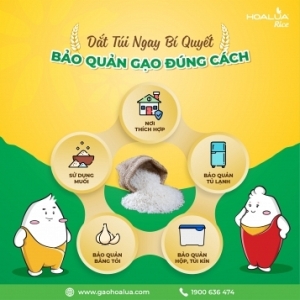 DẮT TÚI NGAY BÍ KÍP BẢO QUẢN GẠO ĐÚNG CÁCH TỪ HOA LÚA