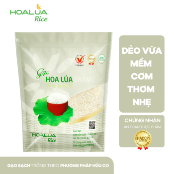 GẠO HOA LÚA TRẮNG DẺO MỀM, ĐẬM VỊ, THƠM NHẸ (Túi 2Kg)