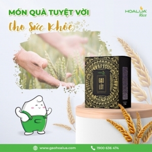 GẠO LỨT HOA LÚA - MÓN QUÀ TUYỆT VỜI CHO SỨC KHỎE
