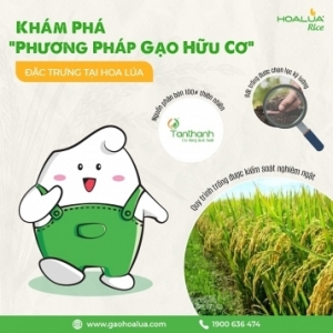 KHÁM PHÁ "PHƯƠNG PHÁP GẠO HỮU CƠ" ĐẶC TRƯNG TẠI HOA LÚA