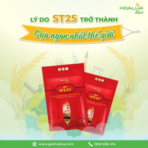 LÝ DO ST25 TRỞ THÀNH GẠO NGON NHẤT THẾ GIỚI