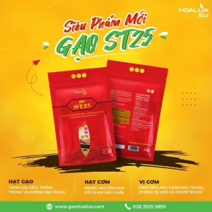 ST25 CẬP BẾN HOA LÚA, ĐIỂM DANH "FAN CỨNG" NGAY THÔI NÀO!